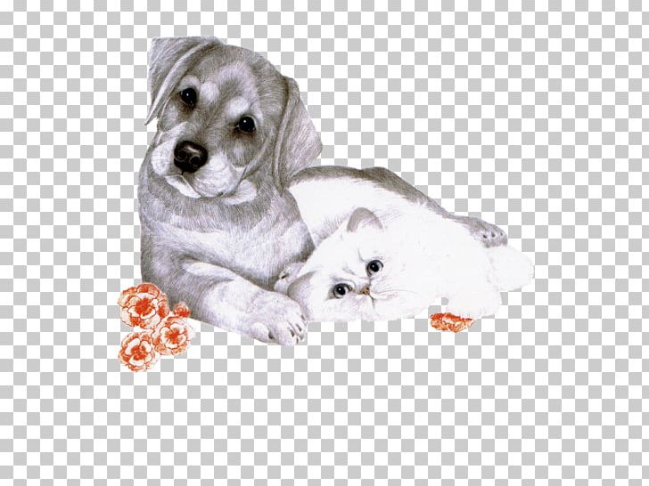 Labrador Retriever Puppy Dog Breed Companion Dog PNG, Clipart, Animals, Breed Group Dog, Carnivoran, Cartoon, Companion Dog Free PNG Download