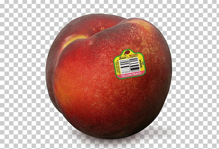 Organic Food Nectarine Apple PNG, Clipart, Apple, Apricot, Color, Food, Fruit Free PNG Download