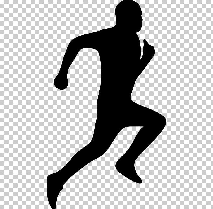 Silhouette Drawing PNG, Clipart, Animals, Black, Black And White, Cross Country Running, Disli Free PNG Download