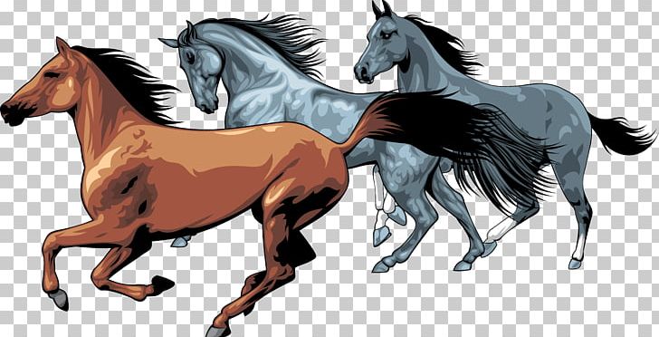 American Paint Horse Equestrian PNG, Clipart, American Paint Horse, Animals, Bridle, Canter And Gallop, Colt Free PNG Download