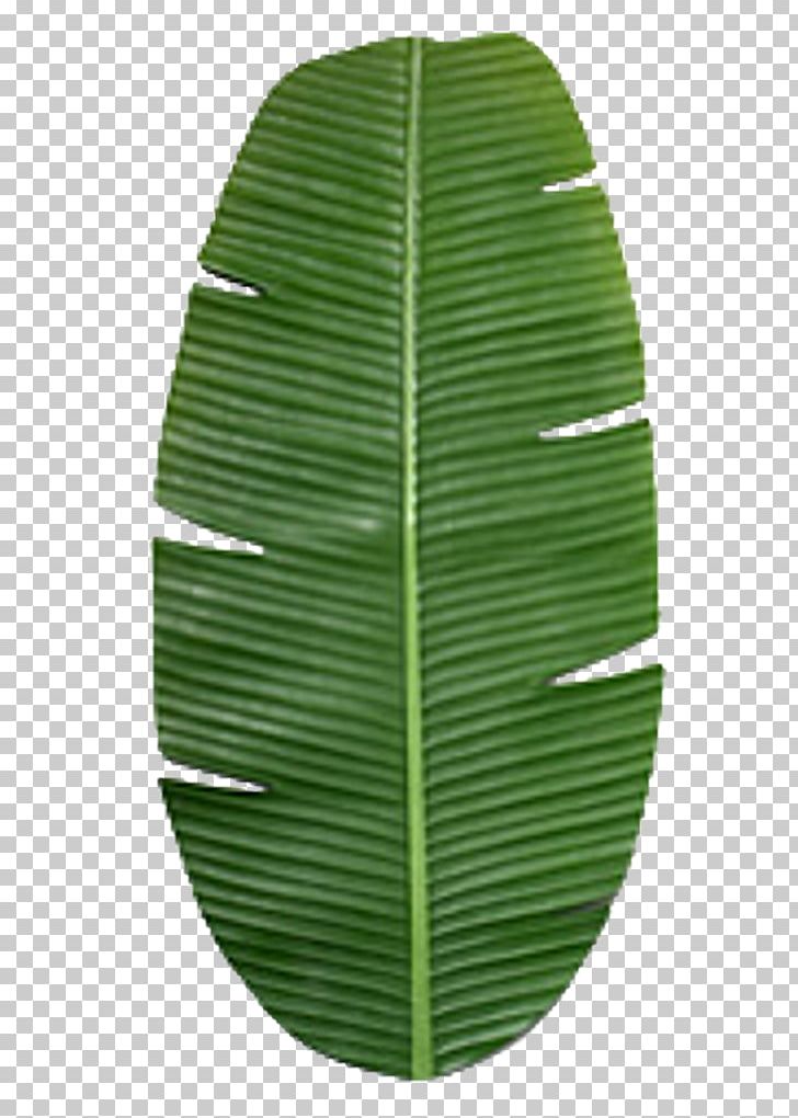 Banana Leaf Texture Mapping PNG, Clipart, Banana, Banana Leaf, Banana Leaves, Blender, Color Free PNG Download
