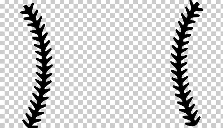 Download Baseball Stitch Seam Scalable Graphics Png Clipart Angle Baseball Baseball Bat Baseball Glove Black Free Png