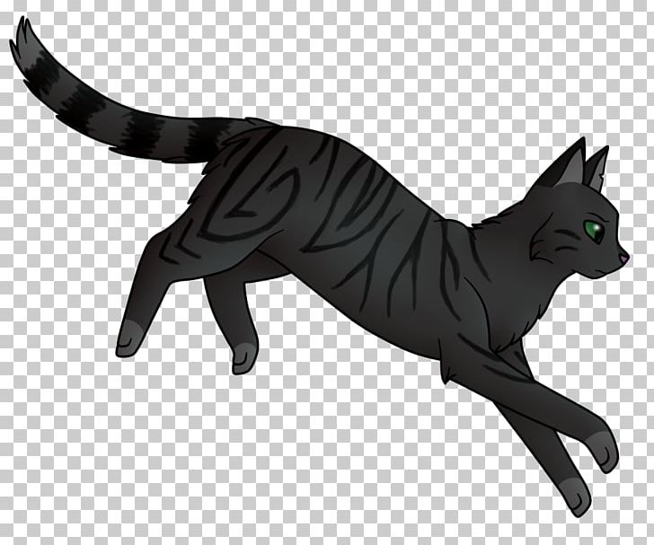 Cat Dog Whiskers Warriors Pet PNG, Clipart, Animal, Animals, Black, Black Cat, Breed Free PNG Download