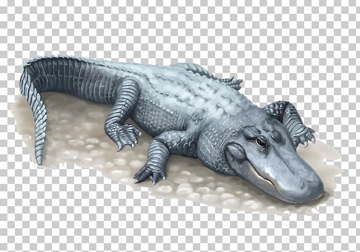 Nile Crocodile American Alligator Chinese Alligator PNG, Clipart, Alligator, Alligatorinae, Alligators, Animal, Animals Free PNG Download