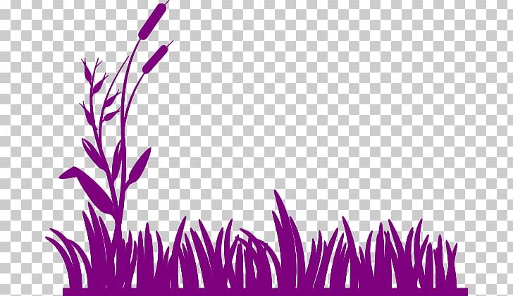 Wetland Swamp PNG, Clipart, Cattail, Clip Art, Color, Document, Free Free PNG Download