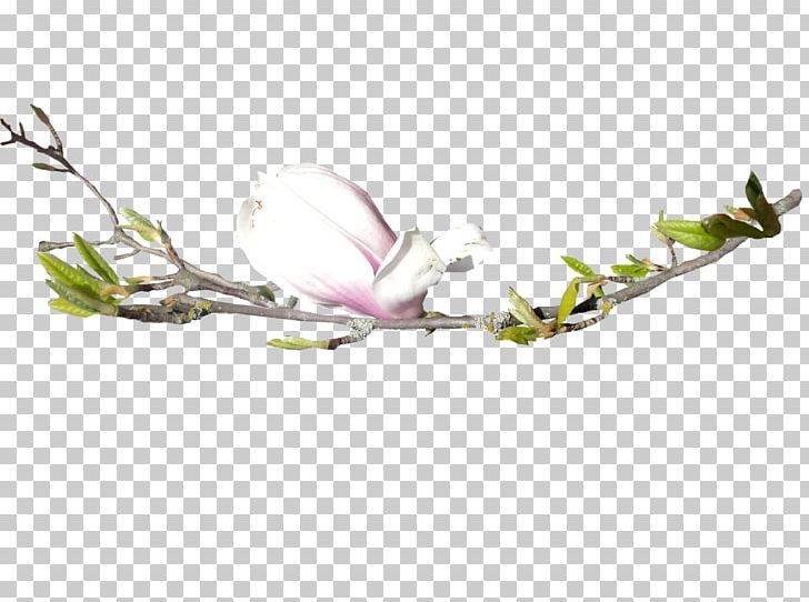 Flower Floral Design Bud Tree PNG, Clipart, Blossom, Branch, Bud, Flora, Floral Design Free PNG Download