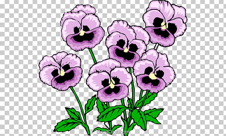 Pansy Viola Pedunculata PNG, Clipart, Annual Plant, Color, Drawing, Floral Design, Flower Free PNG Download