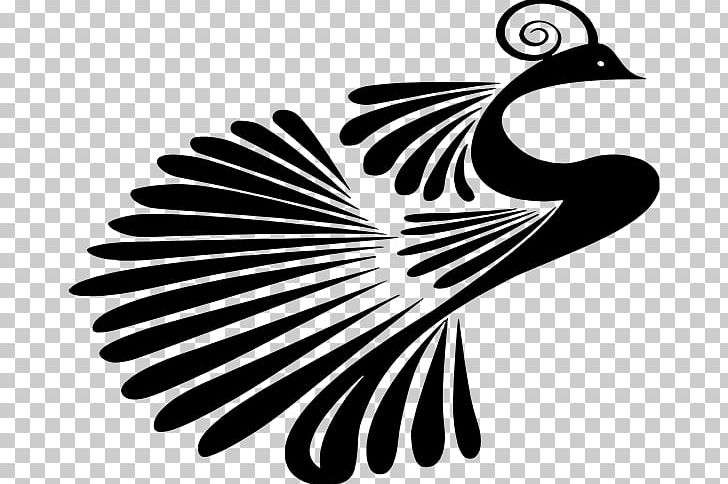 Peafowl PNG, Clipart, Beak, Bird, Black And White, Copyright, Desktop Wallpaper Free PNG Download