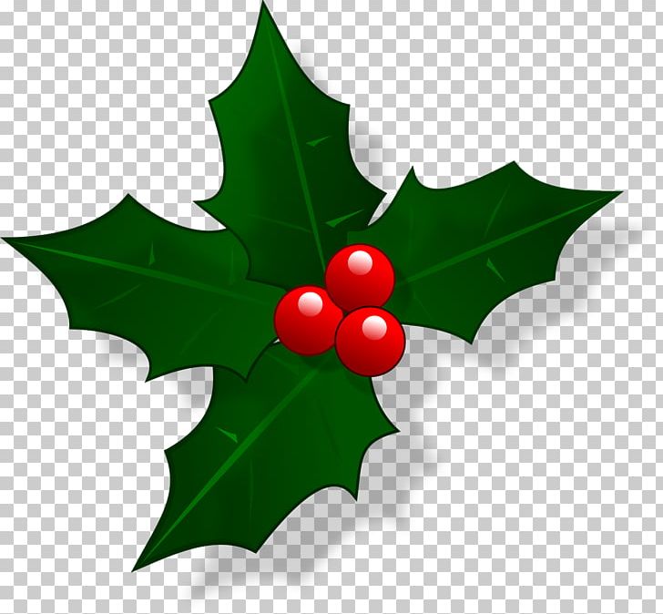 Christmas PNG, Clipart, Aquifoliaceae, Aquifoliales, Christmas, Christmas And Holiday Season, Christmas Decoration Free PNG Download