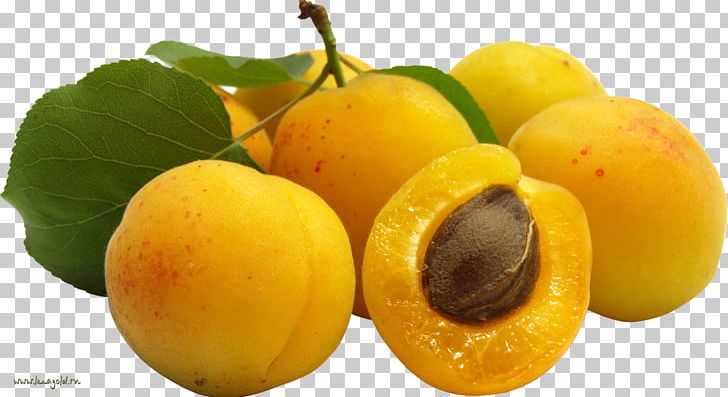 Food Fruit Apricot Nectarine PNG, Clipart, Apricot, Auglis, Flavor, Food, Fruit Free PNG Download