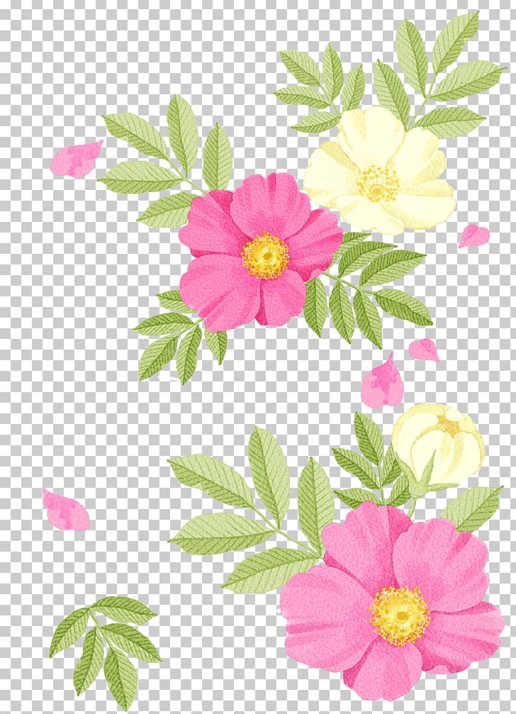 Watercolor Painting Drawing Illustration PNG, Clipart, Annual Plant, Art, Blossom, Computer Icons, Cut Flowers Free PNG Download