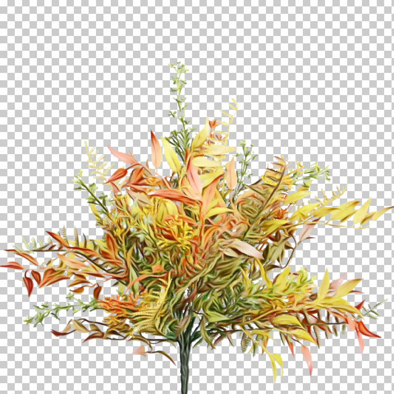 Floral Design PNG, Clipart, Biology, Floral Design, Flower, Leaf, Paint Free PNG Download
