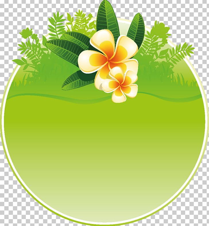 Encapsulated PostScript Drawing PNG, Clipart, Alternative Medicine, Dra, Encapsulated Postscript, Flora, Floral Design Free PNG Download
