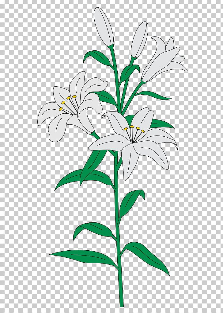 Floral Design Cut Flowers Plant Stem Lilium PNG, Clipart,  Free PNG Download