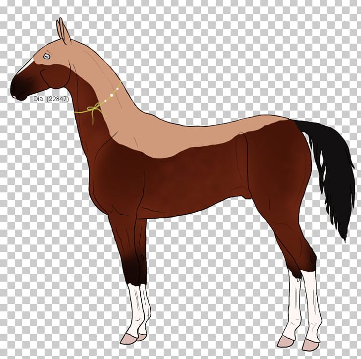 Mustang Foal Pony Mare Art PNG, Clipart, Animal Figure, Art, Bridle, Colt, Deviantart Free PNG Download