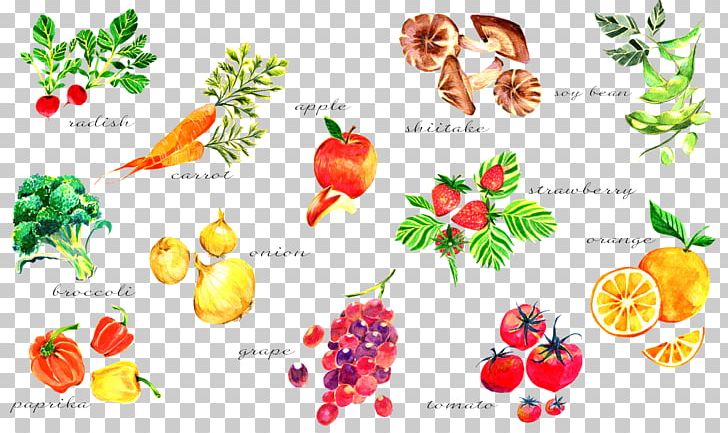 Vegetable Watercolor Painting Paper Vegetarian Cuisine Png, Clipart, Colored Pencil, Diet Food, Flower, Food, Food Drinks