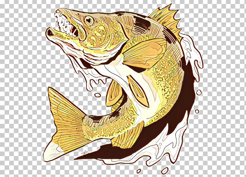 Fish Bass Fish Northern Largemouth Bass Carp PNG, Clipart, Bass, Carp, Fish, Northern Largemouth Bass Free PNG Download