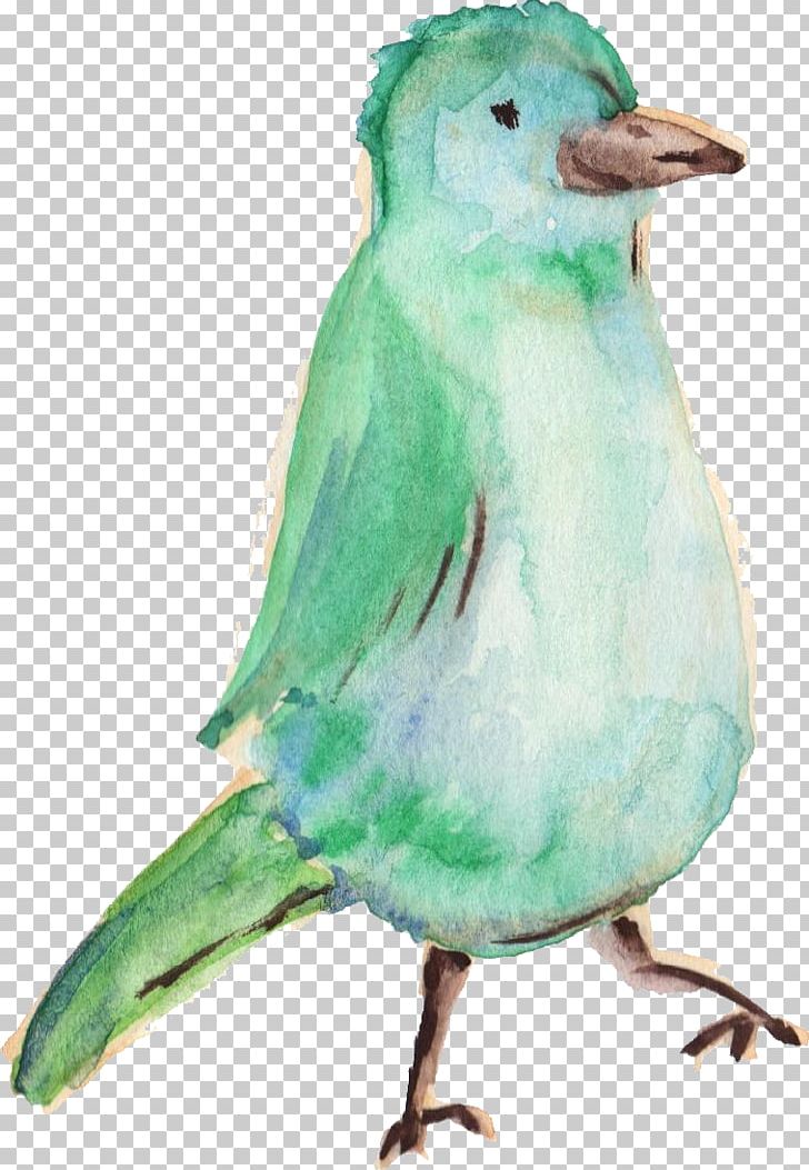 Hummingbird Parrot Parakeet PNG, Clipart, Animal, Animals, Art, Beak, Belted Kingfisher Free PNG Download