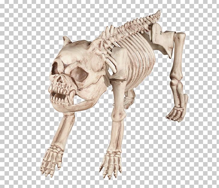 Beagle Skeleton Halloween Costume Bone PNG, Clipart, Beagle, Bone, Carnivoran, Costume, Dog Free PNG Download