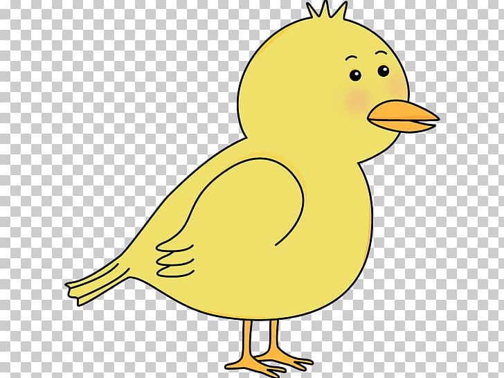 Duck Cartoon Yellow PNG, Clipart, Beak, Bird, Cartoon, Cute Bird Clipart, Duck Free PNG Download