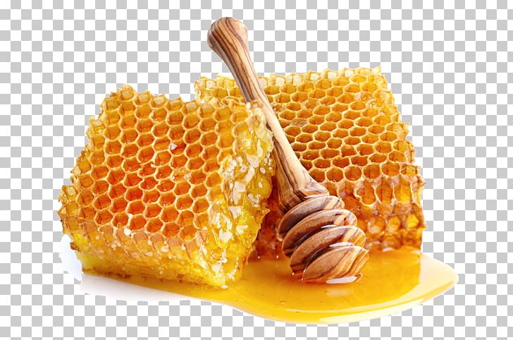 Honey Bee Honeycomb Sugar PNG, Clipart, Bee, Beehive, Beeswax, Corn On The Cob, Food Drinks Free PNG Download