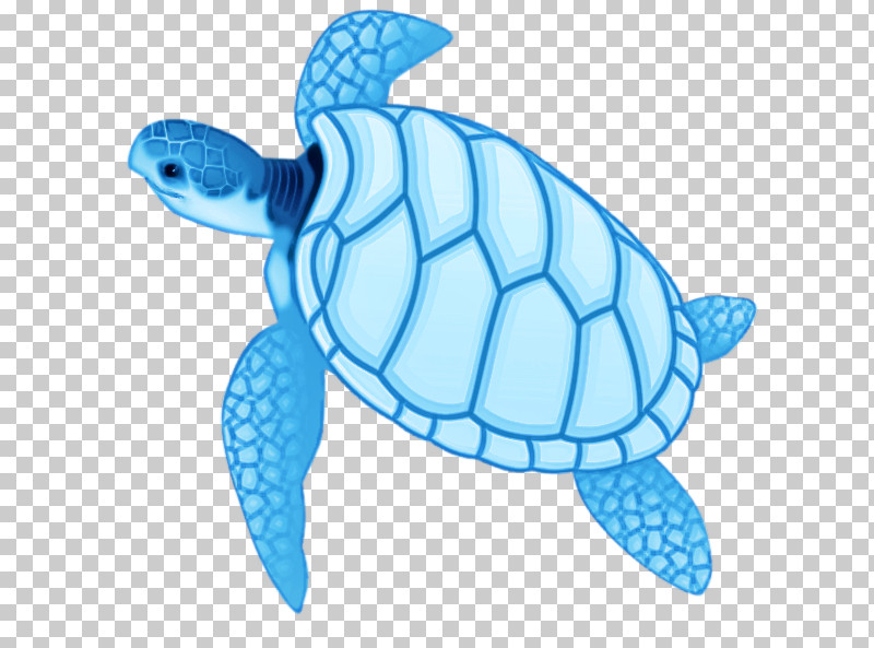 Loggerhead Sea Turtle Sea Turtles Tortoise M Sea Fish PNG, Clipart, Animal Figurine, Biology, Fish, La Quinta Inn Suites, Loggerhead Sea Turtle Free PNG Download