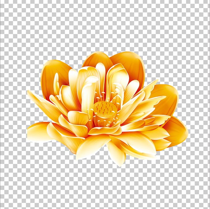 Gold PNG, Clipart, Array Data Structure, Color, Computer Wallpaper, Cut Flowers, Daisy Family Free PNG Download