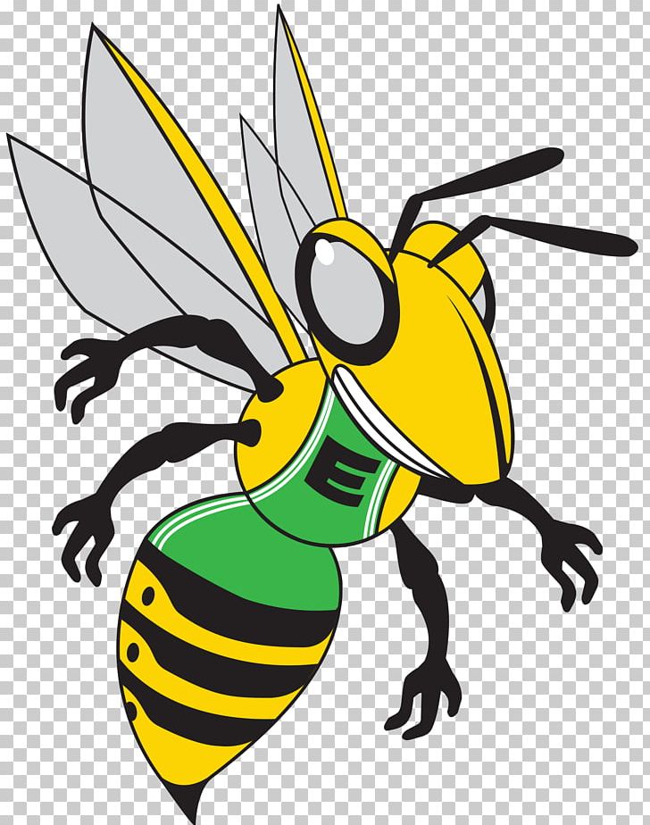 Honey Bee Hornet Organization PNG, Clipart, Artwork, Baldfaced Hornet, Bee, Color, Donate Free PNG Download