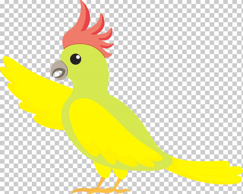 Rooster Parrots Chicken Beak Yellow PNG, Clipart, Beak, Bird Cartoon, Chicken, Cute Bird, Paint Free PNG Download
