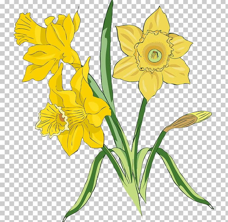 Daffodil Flower PNG, Clipart, Amaryllis Family, Blog, Clip Art, Computer Icons, Cut Flowers Free PNG Download