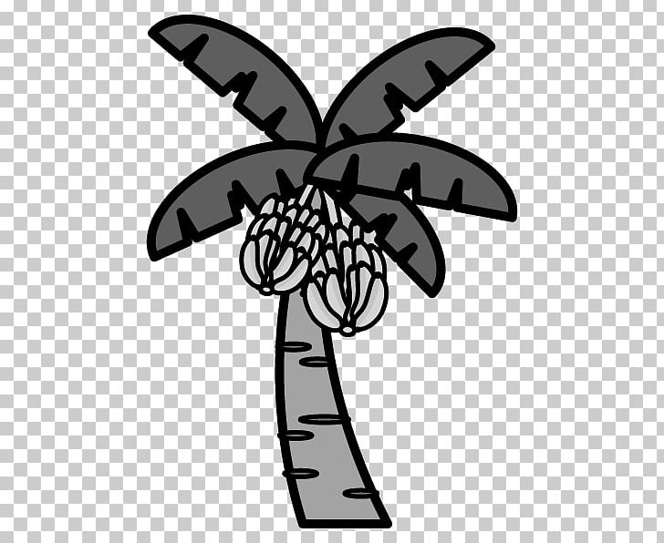 Arecaceae Sabal Palm Tree Coconut PNG, Clipart, Arecaceae, Arecales, Banana, Banana Tree, Black And White Free PNG Download