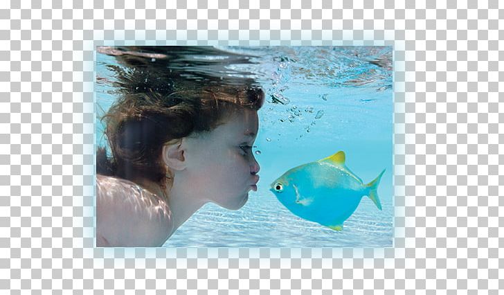 Child Piscina Bioclimática Underwater Photography PNG, Clipart, Aqua, Camera, Child, Digital Cameras, Digital Image Free PNG Download
