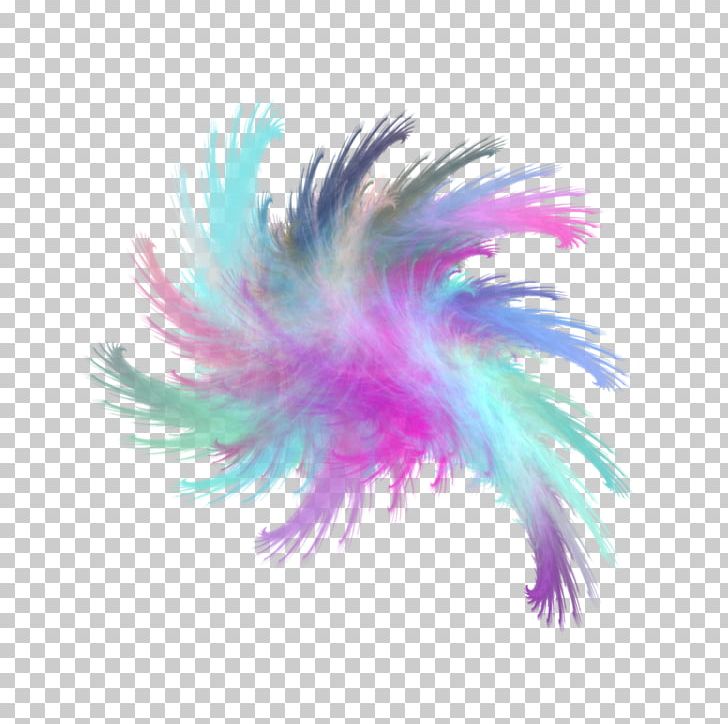 Feather Close-up Pink M PNG, Clipart, Animals, Closeup, Feather, Magenta, Pink Free PNG Download