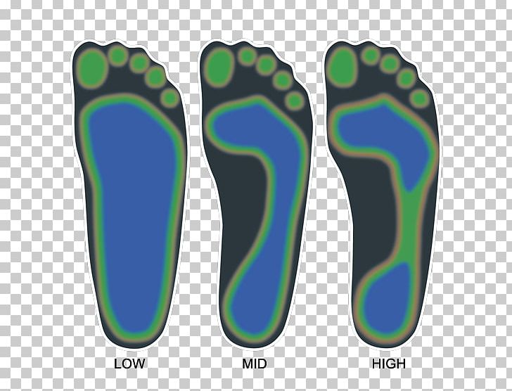 Fußtyp Foot Senkfuß January Shoe PNG, Clipart, 2018, Anatomy, Aqua, Bild, Curvature Free PNG Download