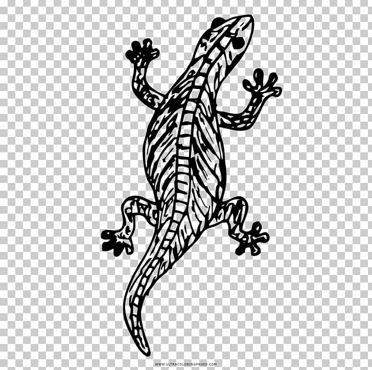 Lizard Drawing Coloring Book Reptile PNG, Clipart, Animals, Art, Ausmalbild, Black And White, Camaleon Free PNG Download