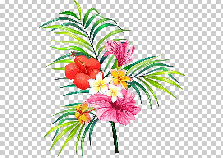 Rosemallows Flower Graphics Portable Network Graphics PNG, Clipart, Aquarium Decor, Cut Flowers, Drawing, Flora, Floral Design Free PNG Download