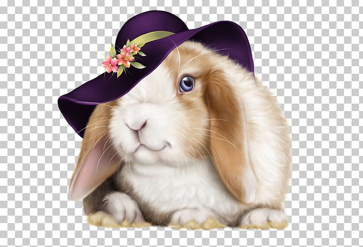 Domestic Rabbit Night Evening Happiness Morning PNG, Clipart, Afternoon, Blessing, Domestic Rabbit, Ear, Easter Bunny Free PNG Download