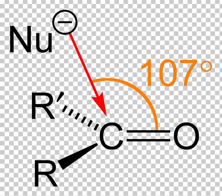 Functional Group Angle Amine Protopine Carbonyl Group PNG, Clipart, Aldehyde, Amide, Amine, Angle, Area Free PNG Download