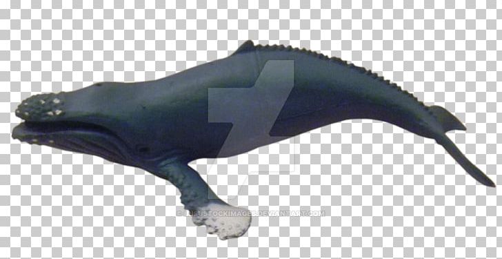 Porpoise Cetaceans Dolphin Animal PNG, Clipart, Animal, Animal Figure, Dolphin, Humpback Whale, Marine Mammal Free PNG Download