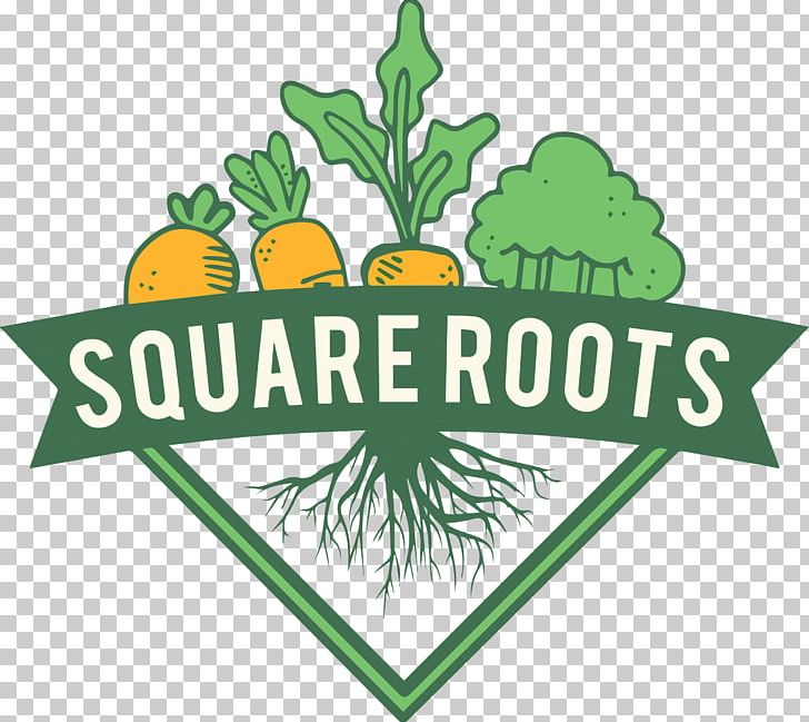 Square Root Food Area Produce PNG, Clipart, Area, Artwork, Brand, Eating, Flower Free PNG Download
