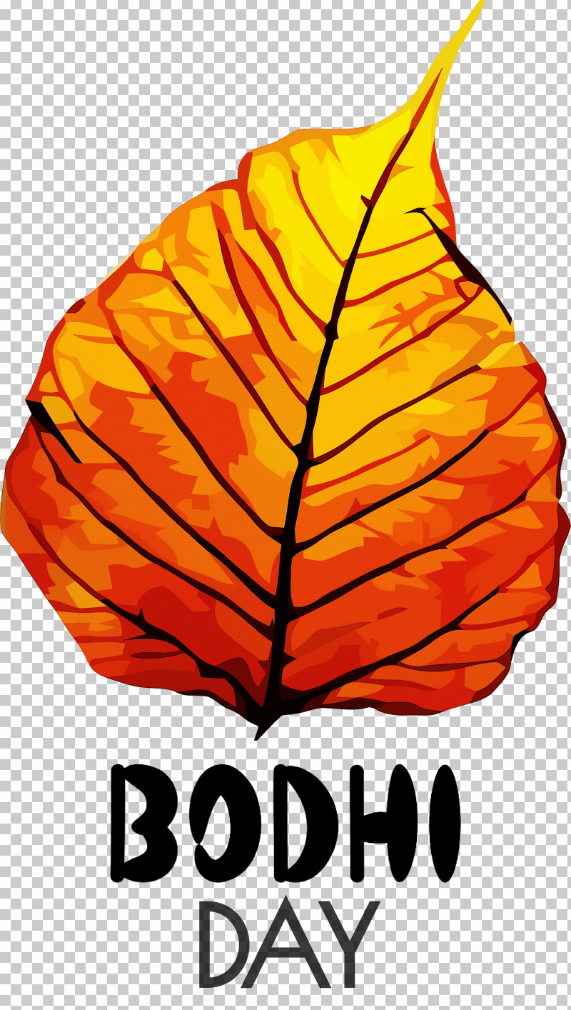 Bodhi Day Bodhi PNG, Clipart, Barley, Bodhi, Bodhi Day, Leaf, Plants Free PNG Download