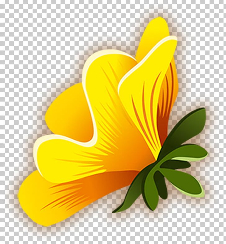 Common Hibiscus Yellow PNG, Clipart, Color, Common Hibiscus, Download, Float, Flower Free PNG Download