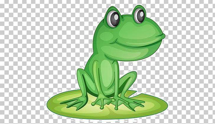 Edible Frog PNG, Clipart, Animals, Balloon Cartoon, Boy Cartoon, Cartoon, Cartoon Character Free PNG Download