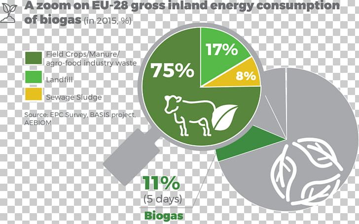 European Union Bioenergy European Biomass Association Renewable Energy PNG, Clipart, Biodiesel, Bioenergy, Biofuel, Biogas, Biomass Free PNG Download