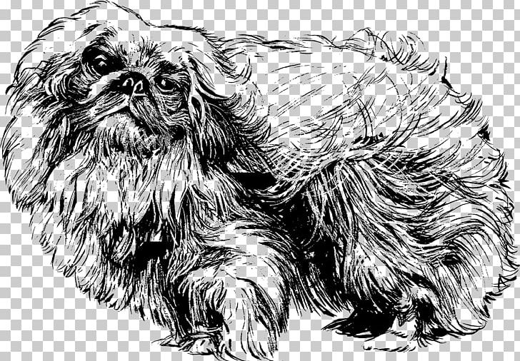 Pekingese Shih Tzu Samoyed Dog Papillon Dog Pomeranian PNG, Clipart, Affenpinscher, Animal, Carnivoran, Dog, Dog Breed Free PNG Download