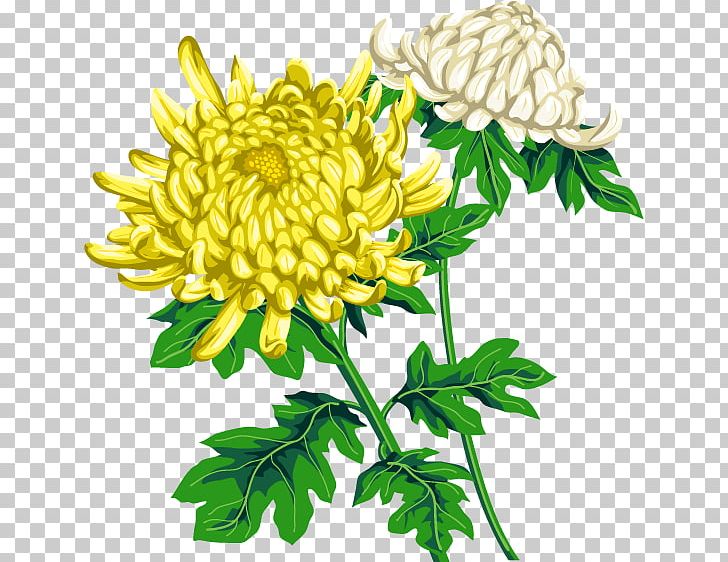 Shorinji Chrysanthemum ×grandiflorum Birth Flower Double Ninth Festival PNG, Clipart, Birth Flower, Blade, Chrysanthemum Grandiflorum, Dahlia, Daisy Family Free PNG Download