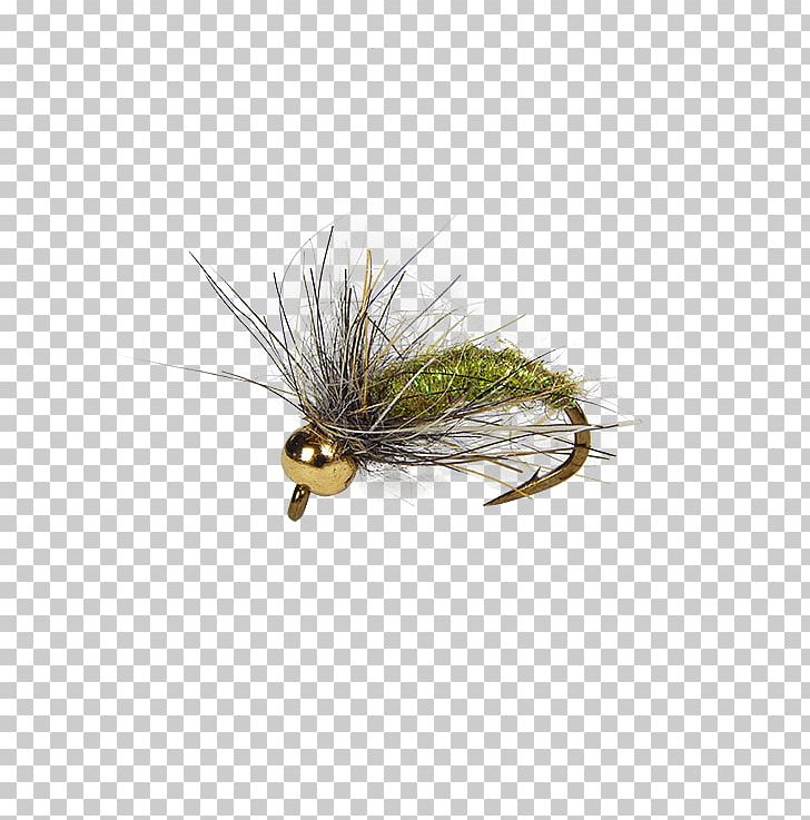 Caddisflies Insect Artificial Fly Fly Fishing Larva PNG, Clipart, Angling, Animals, Artificial Fly, Bead, Brass Free PNG Download