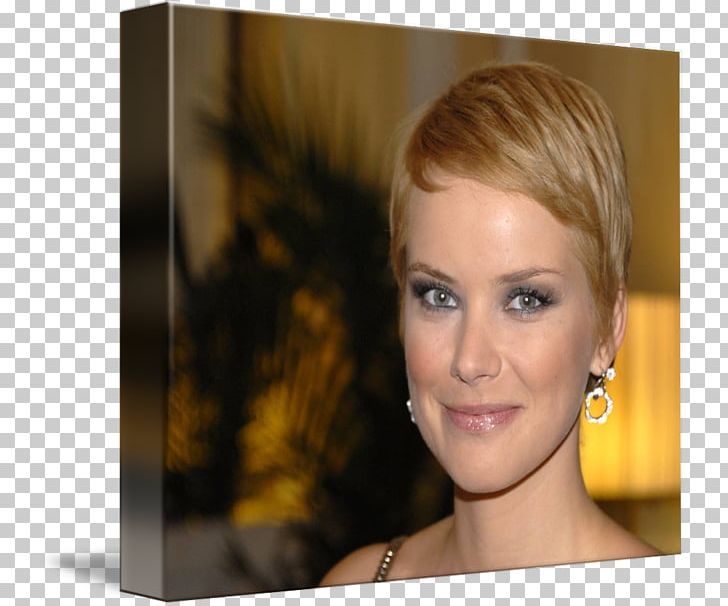 Andrea Osvárt Blond Layered Hair Hair Coloring PNG, Clipart, Beauty, Blond, Blurred, Brown Hair, Celebrity Free PNG Download