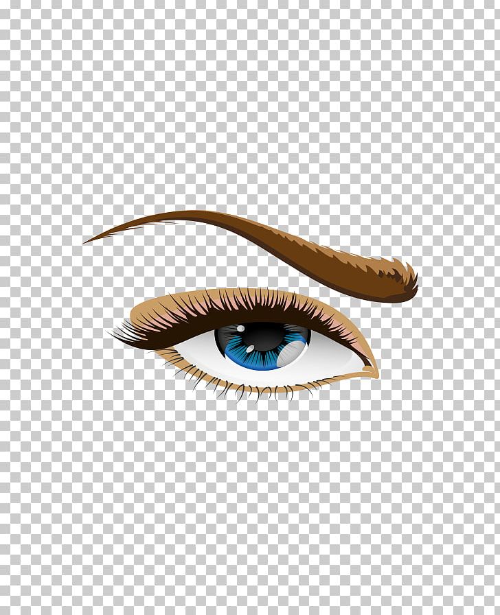 Human Eye Eyebrow PNG, Clipart, Brown, Clip Art, Color, Drawing, Eye Free PNG Download