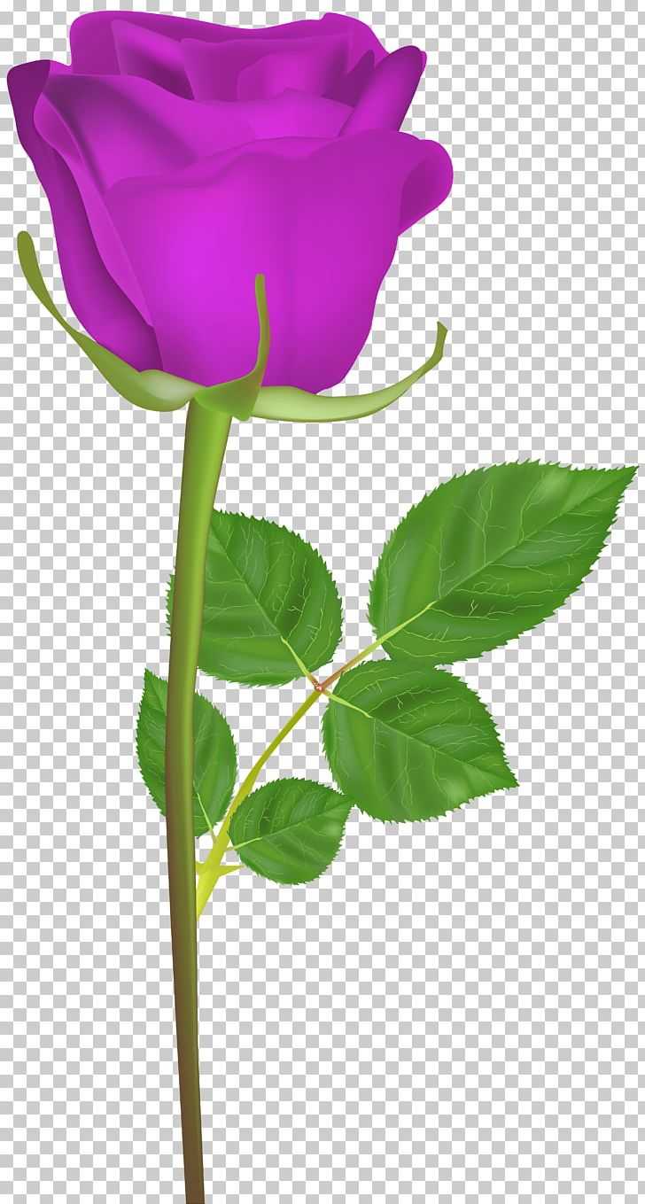 Animation Desktop PNG, Clipart, Animation, Bud, Cartoon, Computer Icons, Cut Flowers Free PNG Download